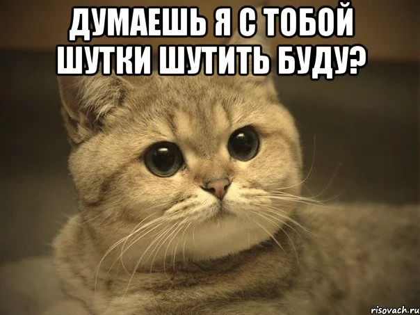 pidrila-ebanaya-kotik_17512063_orig_.webp