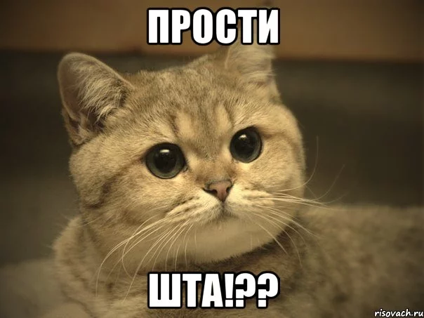 pidrila-ebanaya-kotik_34433891_orig_.webp