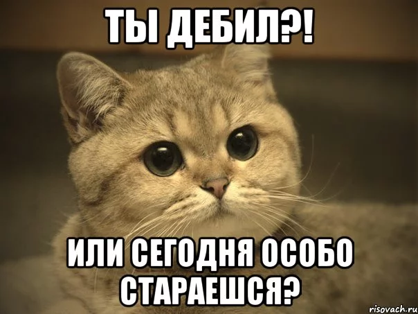 pidrila-ebanaya-kotik_7631913_orig_.webp