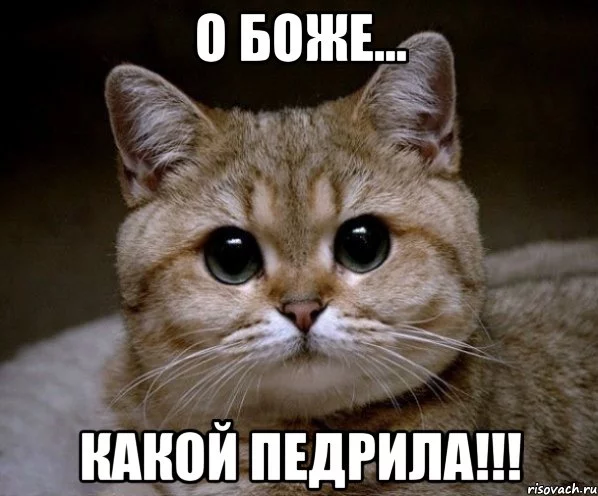 pidrila-ebanaya_16210871_orig_.webp