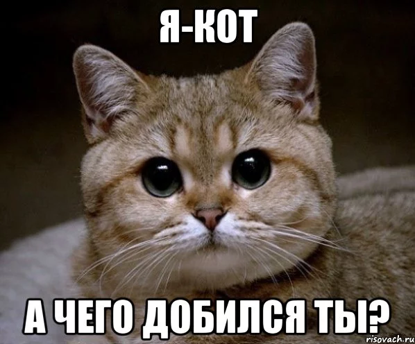 pidrila-ebanaya_23910111_orig_.webp