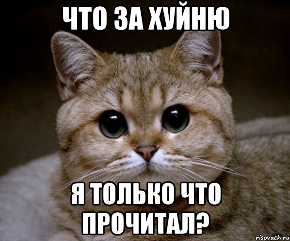 pidrila-ebanaya_43430453_orig_.jpg