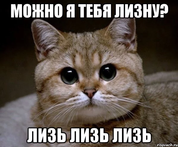 pidrila-ebanaya_8961175_orig_.webp