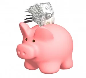 piggy_bank1-300x273.webp