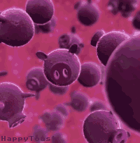 pigvirus.gif