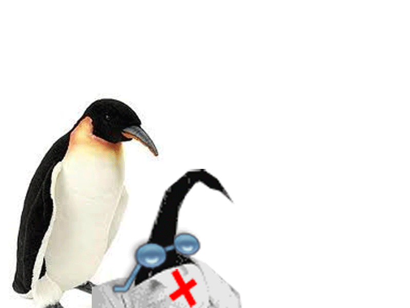 ping.gif