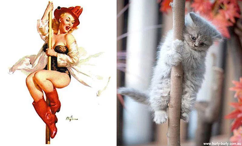 pinupcats02.webp
