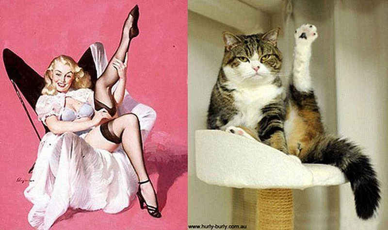 pinupcats07.webp