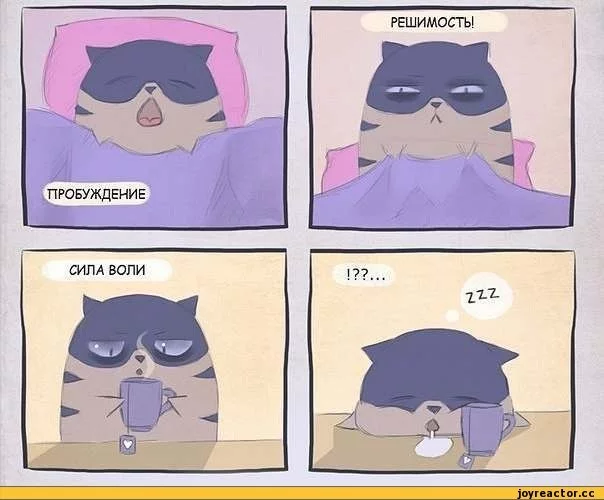 pIOq0i2ttRM.webp