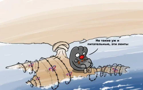 pitatelnost_500x317.webp