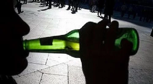 pivo.webp