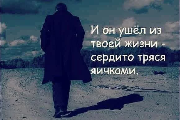 PjUCTZ1tcPQ.webp