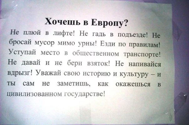 pKmFhjRdbPE.webp