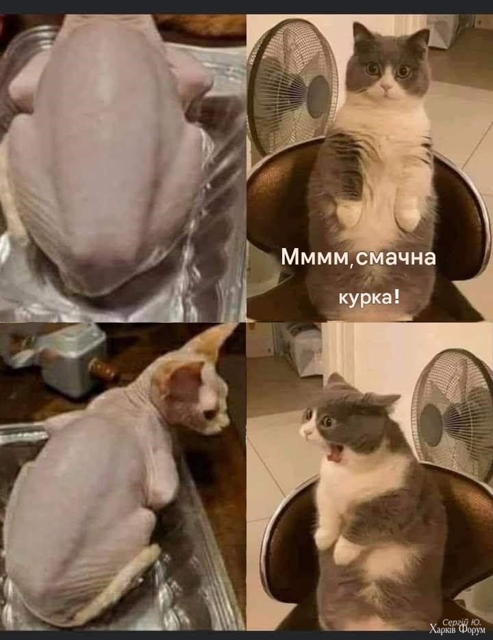PlfPfouKuxglxQx0&_nc_zt=23&_nc_ht=scontent.fdnk1-4.jpg