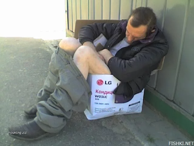 plna_skatule.webp