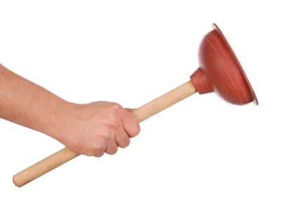plunger431x300.webp