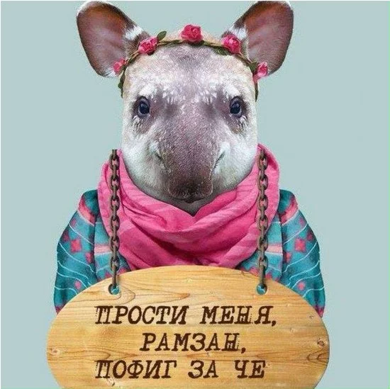 PlY2psaYrH4.webp