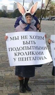 PmDbb60dxzQ.webp
