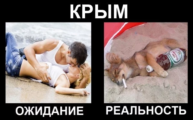 PMIZjFu6HSg0GOwoMd83kQcBZNC8VjwJJM9dM78Ke3Q.webp