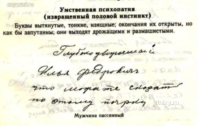 pocherk_03.webp