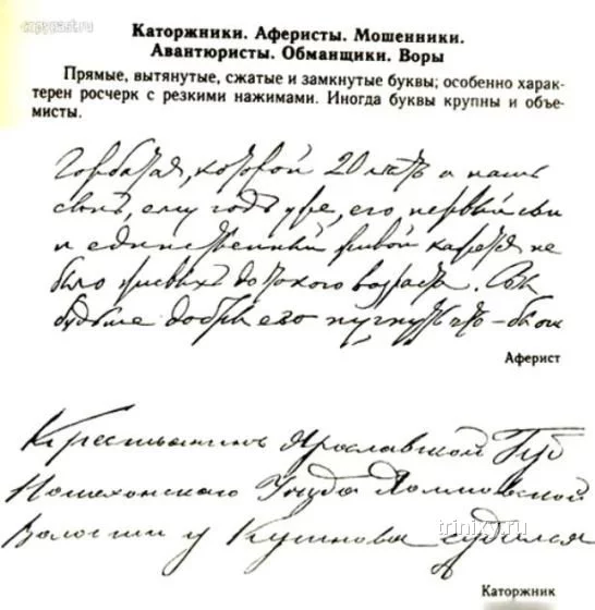 pocherk_04.webp