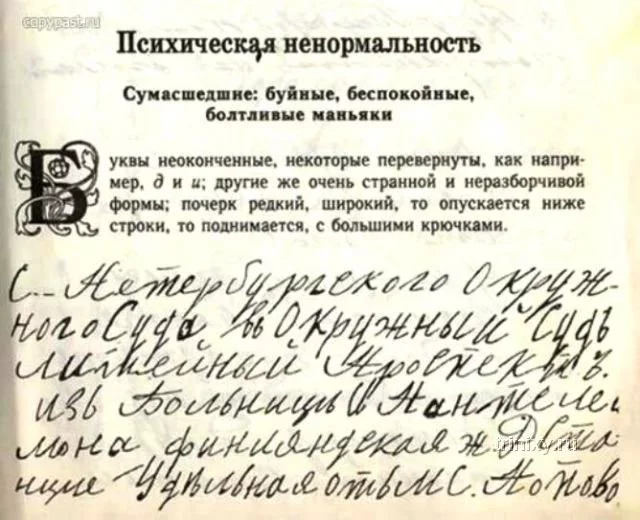 pocherk_08.webp