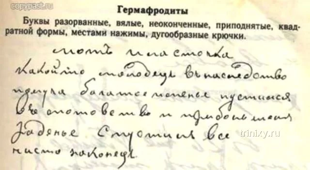 pocherk_09.webp