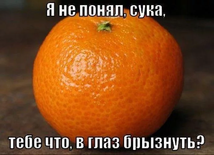 podborka_75.webp