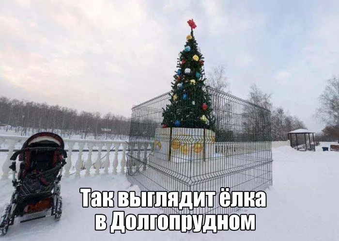 podborka_dnevnaya_01.webp