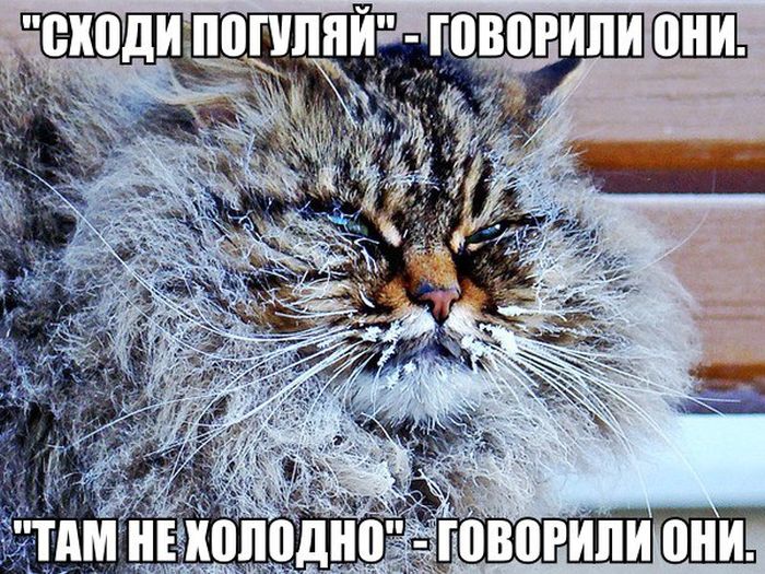 podborka_dnevnaya_13.jpg