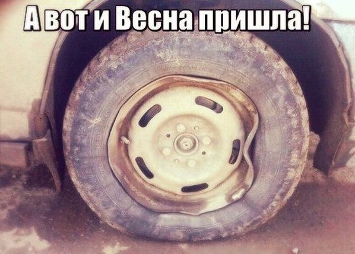 podborka_dnevnaya_51.jpg