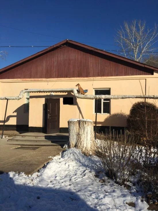 podborka_vecher_32.webp