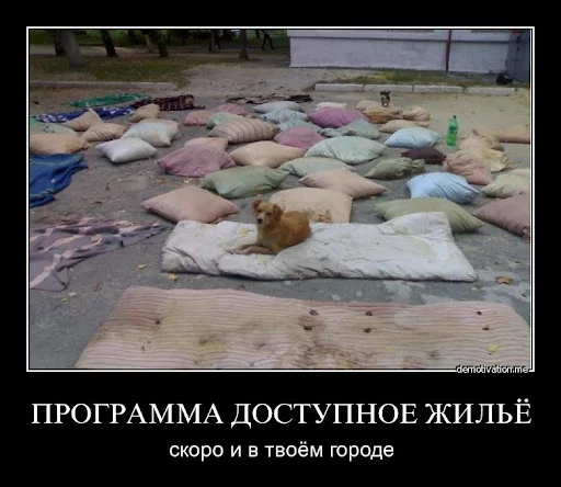 podushki_demo.webp