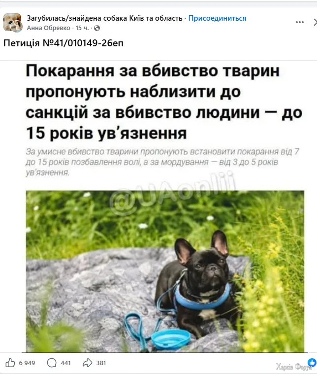 поке.webp