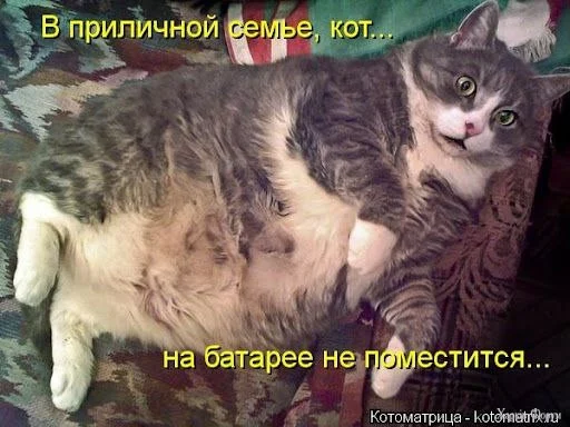  поместится.webp