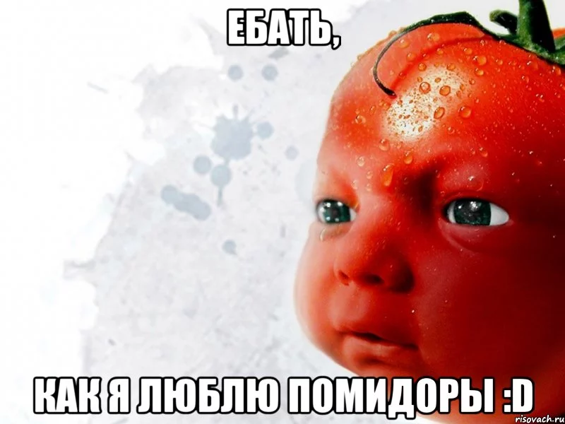 pomidor_4325294_big_.webp