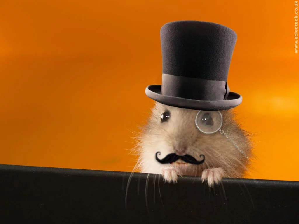 posh-hamster-wallpaper2.webp