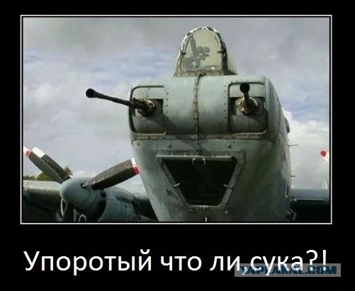 post-11-13386607268750.webp