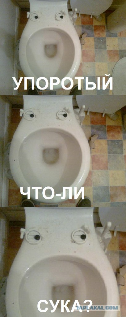 post-11-13388077351569.jpg