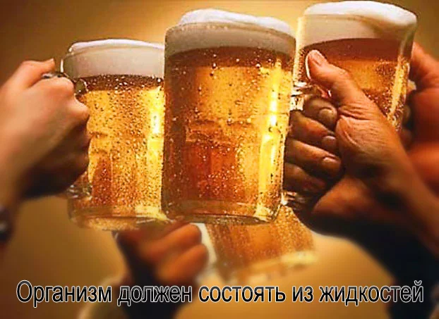 post-14-12352986208572.webp