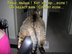 post-14662-1265394104_thumb.webp