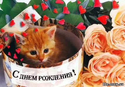 post-16166-1236157217.jpg