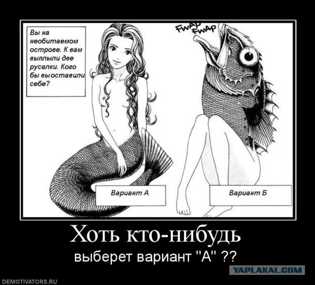 post-2-13297171429301.webp