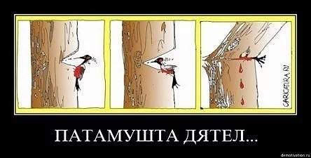 post-21726-1293374515.webp