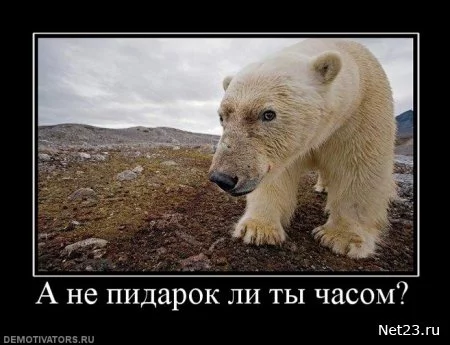 post-27-13168128422125.jpg