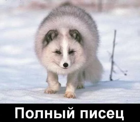 post-3-1199962092.webp