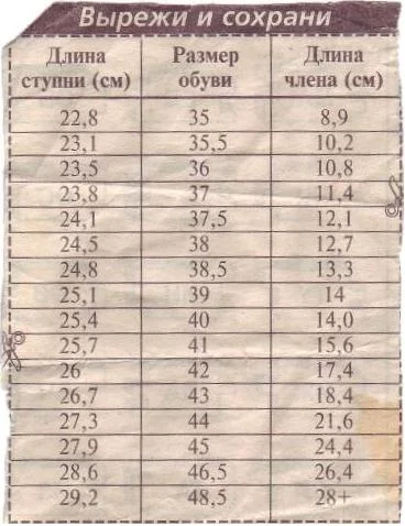 post-3-12281205954554.webp