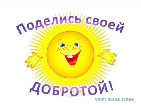 post-3-13074308706392.webp