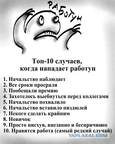 post-3-13112370873044.webp
