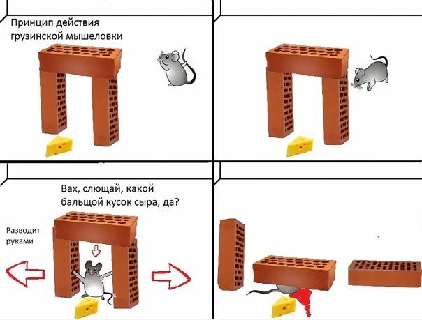 post-3-13117948891121.jpg